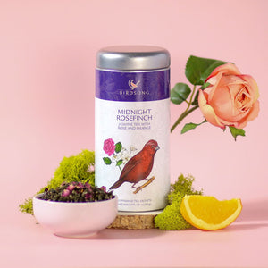 Midnight Rosefinch